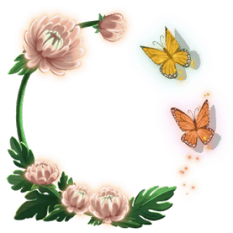 Overlay Frame